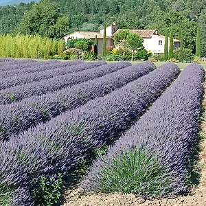 https://mas-de-longuefeuille.fr-provencehotel.com